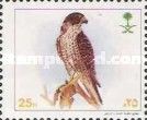 Peregrine Falcon (Falco peregrinus)
