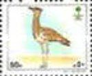 Arabian bustard (Ardeotis arabs)