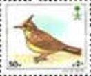 Crested Lark (Galerida cristata)