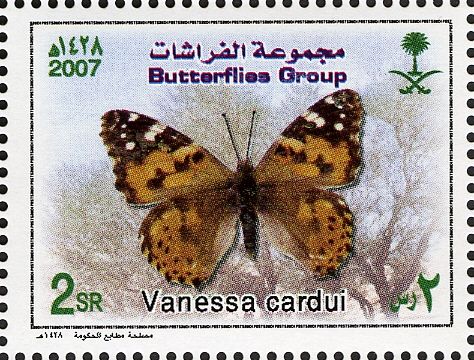Painted Lady (Vanessa cardui)