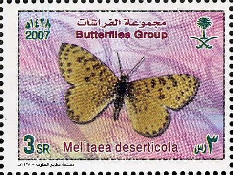 Desert Fritillary (Melitaea deserticola)