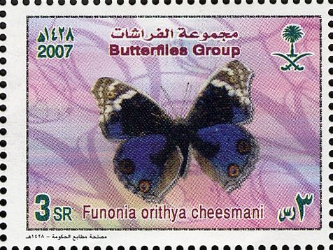 Blue Pansy (Funonia orithya cheesmani)