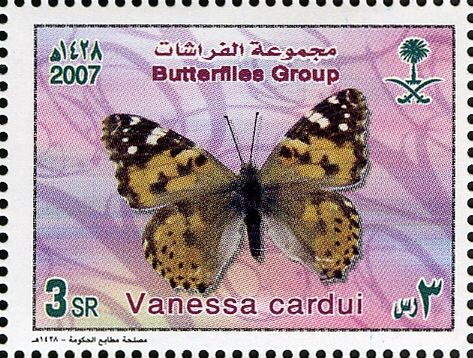 Painted Lady (Vanessa cardui)