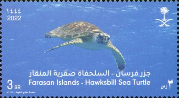 Hawksbill Sea Turtle (Eretmochelys imbricata)
