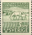 Horses (Equus ferus caballus)