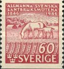 Horses (Equus ferus caballus)
