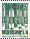 Forest Trees