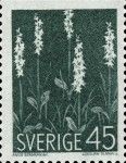 Platanthera bifolia - Lesser Butterfly orchid