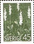 Platanthera bifolia - Lesser Butterfly orchid