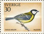 Great Tit (Parus major)