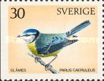 Eurasian Blue Tit (Cyanistes caeruleus)