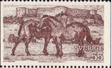 Horses (Equus ferus caballus), Borgholm Ruin on Öland