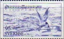 Seagull with Fish