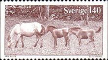 Gotland Ponies (Equus ferus caballus)