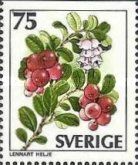 Vaccinium vitis-idaea