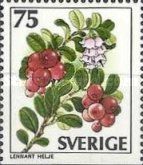 Vaccinium vitis-idaea