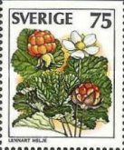 Cloudberries