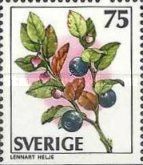 Bilberries
