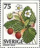 Fragaria veska