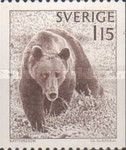 Brown Bear (Ursus arctos)
