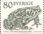 European Green Toad (Bufo viridis)
