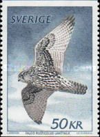 Gyrfalcon (Falco rusticolus)