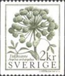 Angelica archangelika