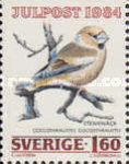 Hawfinch (Coccothraustes coccothraustes)