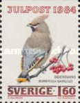 Bohemian Waxwing (Bombycilla garrulus)