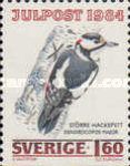 Great Spotted Woodpecker (Dendrocopos major)