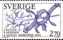 J. Eccles, A. Hodgkin, A. Huxley (1963)