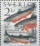 Arctic Char (Salvelinus salvelinus)