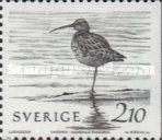 Whimbrel (Numenius phaeopus)