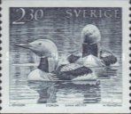 Black-throated Loon (Gavia arctica)