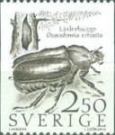 Hermit Beetle (Osmoderma eremita)