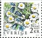 Daisies and bluebells