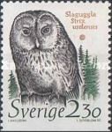 Ural Owl  (Strix uralensis)