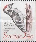 Lesser Spotted Woodpecker (Dendrocopos minor)