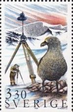 Great Skua (Stercorarius skua), Geodimeter
