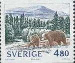 Sånfjället National Park, Brown Bear (Ursus arctos)