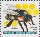 European Honey Bee (Apis mellifera)