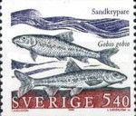 Gudgeon (Gobio gobio)