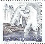 Polar Bear (Ursus maritimus)