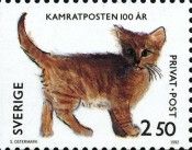 Kitten (Sabina Ostermark)