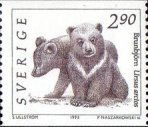 Brown Bear cubs (Ursus arctos)