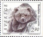 Brown Bear (Ursus arctos)