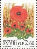 Poppies