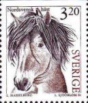 North Sweden horse's head (Equus ferus caballus)