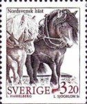 North Sweden Horses in Harness (Equus ferus caballus)