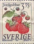 Strawberries [Fresas] - Fragaria ananassa
